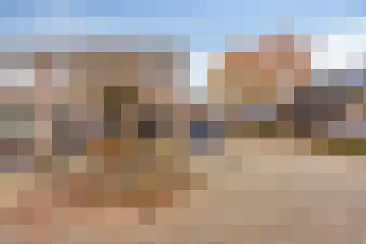 De Aalsvoorten 28 Haps thumbnail 6