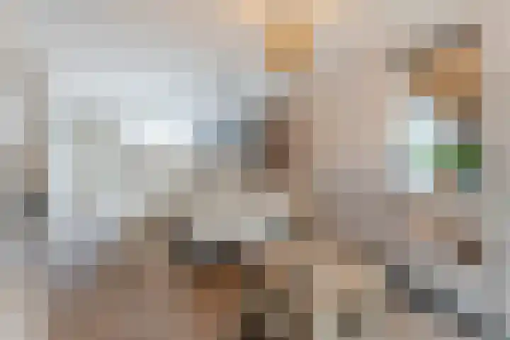 De Aalsvoorten 32 Haps thumbnail 14