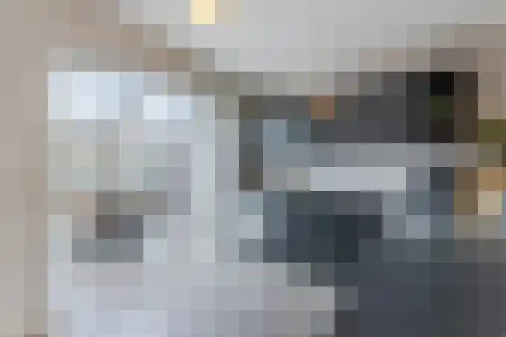De Aalsvoorten 32 Haps thumbnail 19