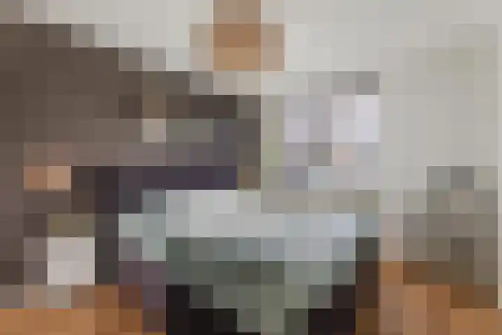 De Aalsvoorten 32 Haps thumbnail 21