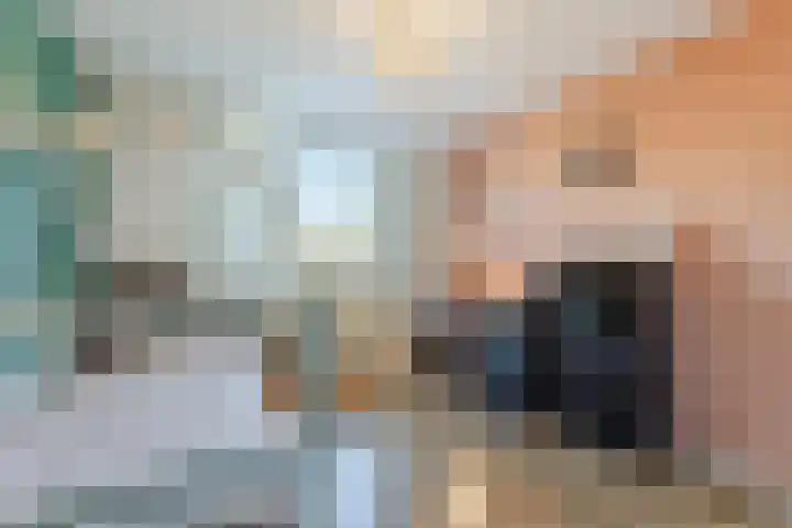 De Aalsvoorten 32 Haps thumbnail 22