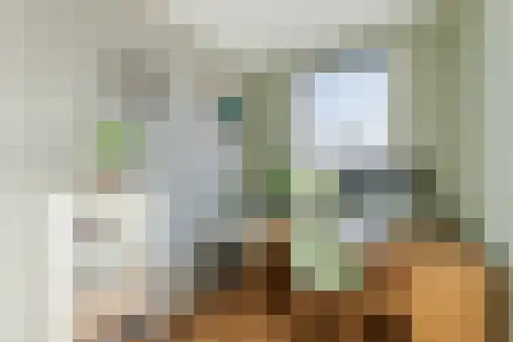 De Aalsvoorten 32 Haps thumbnail 24