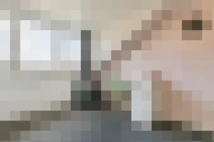 De Aalsvoorten 32 Haps thumbnail 29