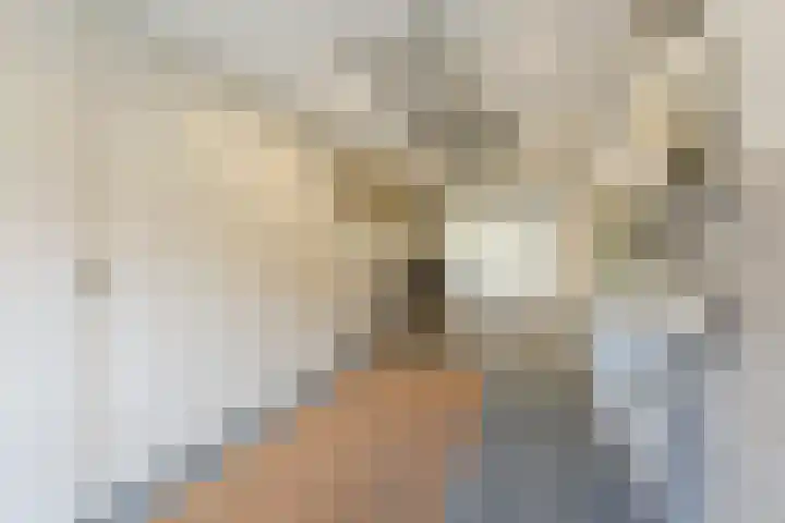 De Aalsvoorten 32 Haps thumbnail 31