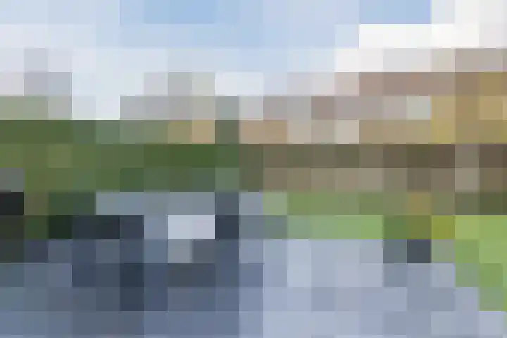 De Aalsvoorten 32 Haps thumbnail 34