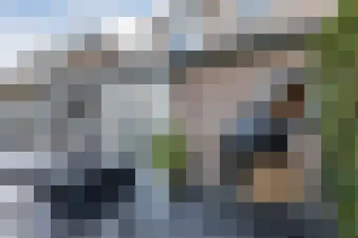 De Aalsvoorten 32 Haps thumbnail 35