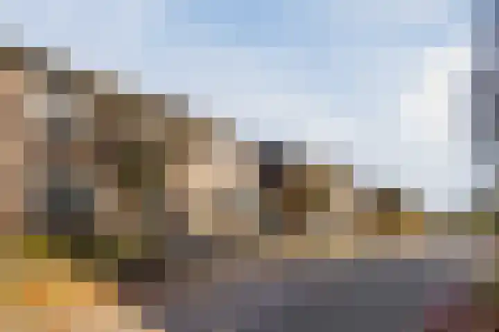 De Aalsvoorten 32 Haps thumbnail 36