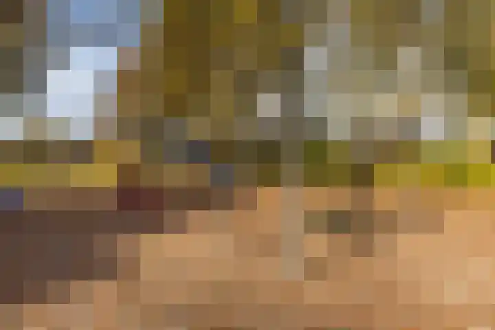 De Aalsvoorten 32 Haps thumbnail 37