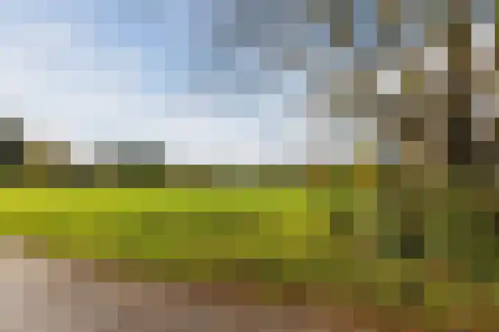 De Aalsvoorten 32 Haps thumbnail 38
