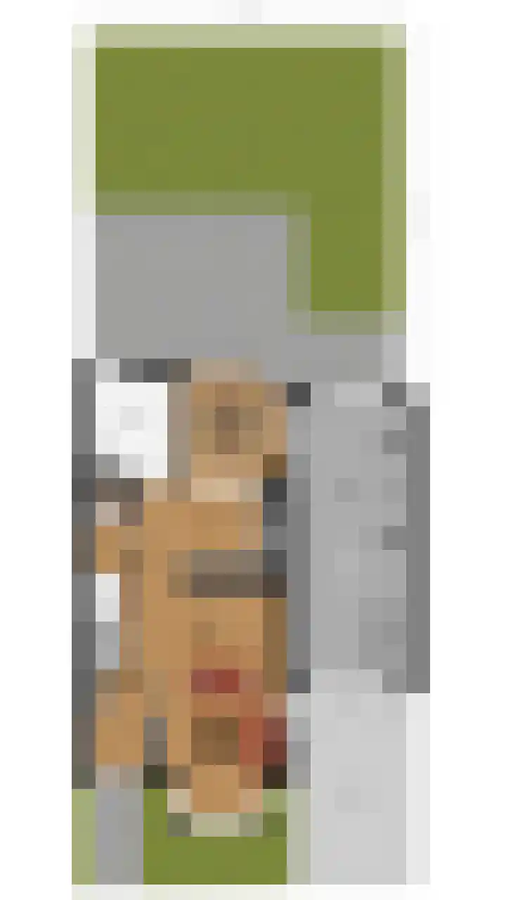 De Aalsvoorten 32 Haps thumbnail 39