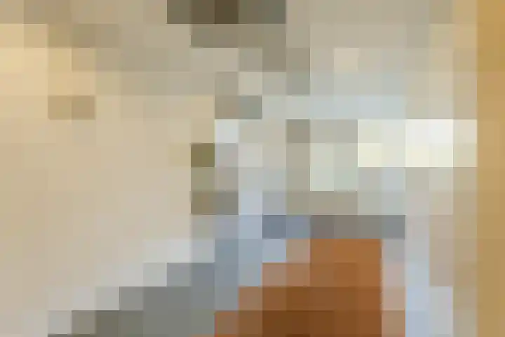 De Aalsvoorten 32 Haps thumbnail 5