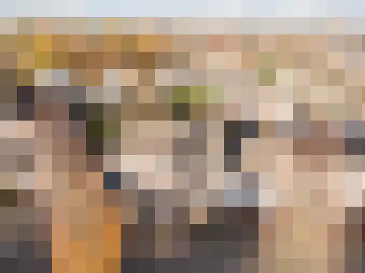 De Aalsvoorten 32 Haps thumbnail 7