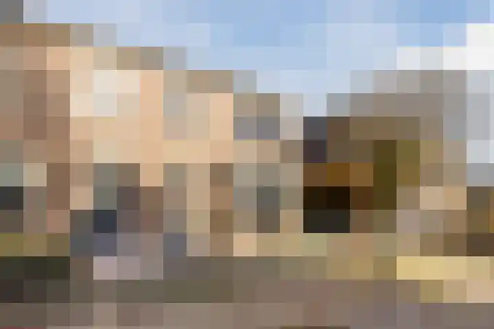 De Aalsvoorten 32 Haps thumbnail 9