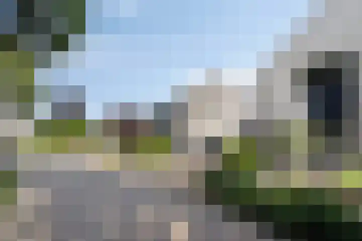 De Aalsvoorten 8 Haps thumbnail 10