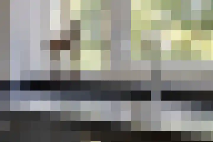 De Aalsvoorten 8 Haps thumbnail 16