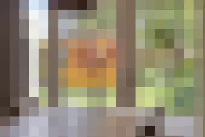 De Aalsvoorten 8 Haps thumbnail 24