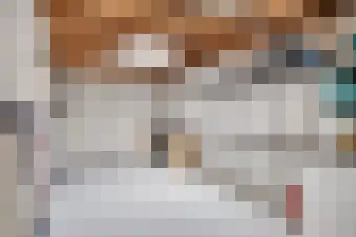 De Aalsvoorten 8 Haps thumbnail 28