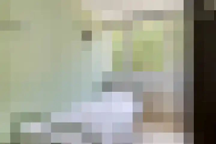 De Aalsvoorten 8 Haps thumbnail 35