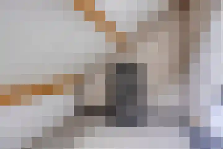 De Aalsvoorten 8 Haps thumbnail 39