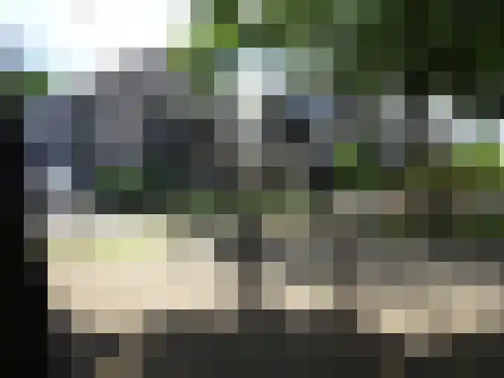 De Aalsvoorten 8 Haps thumbnail 45