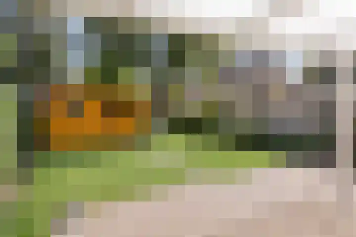 De Aalsvoorten 8 Haps thumbnail 5