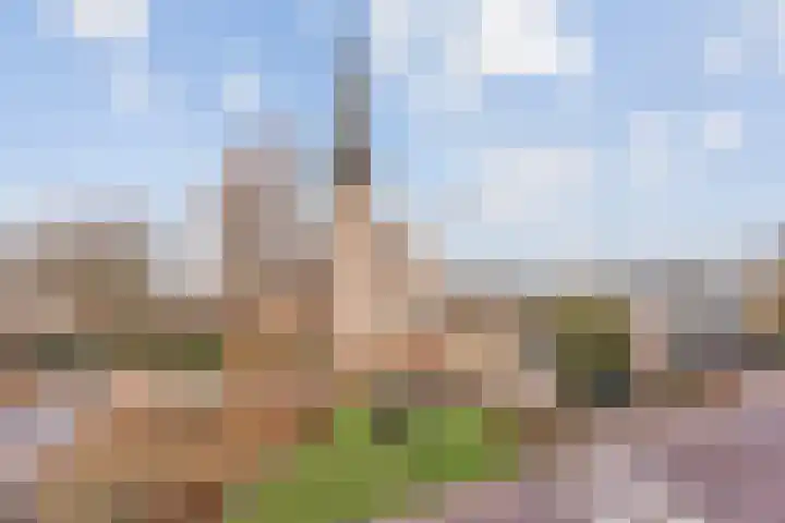 De Aanleg 102 Geesteren thumbnail 14