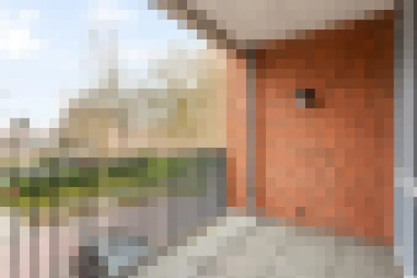 De Aanleg 107 Geesteren thumbnail 16