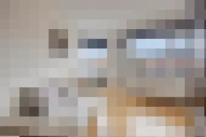 De Aanleg 204 Geesteren thumbnail 16