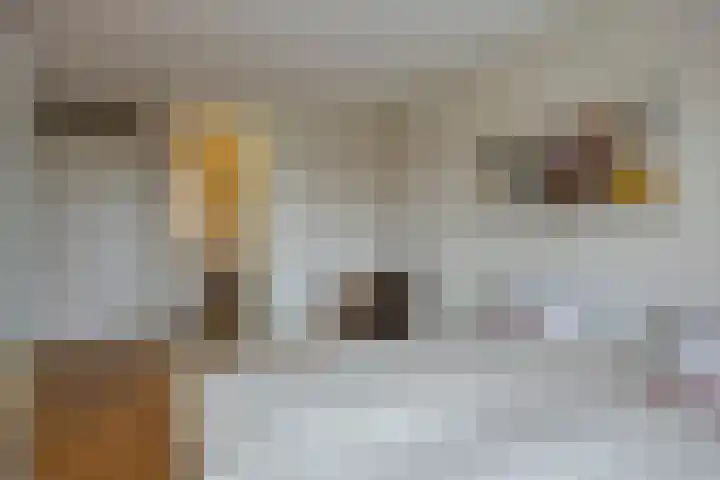 De Aanleg 204 Geesteren thumbnail 19