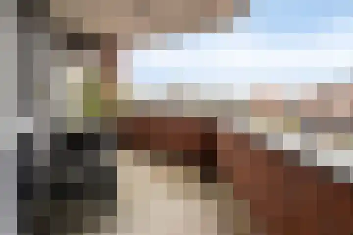 De Aanleg 204 Geesteren thumbnail 22
