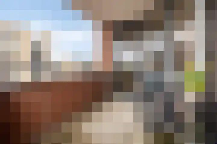 De Aanleg 204 Geesteren thumbnail 23