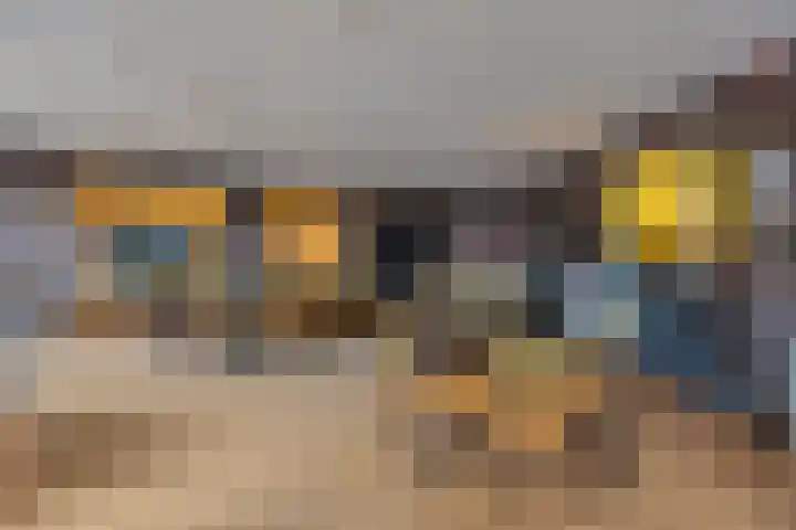 De Aanleg 204 Geesteren thumbnail 28