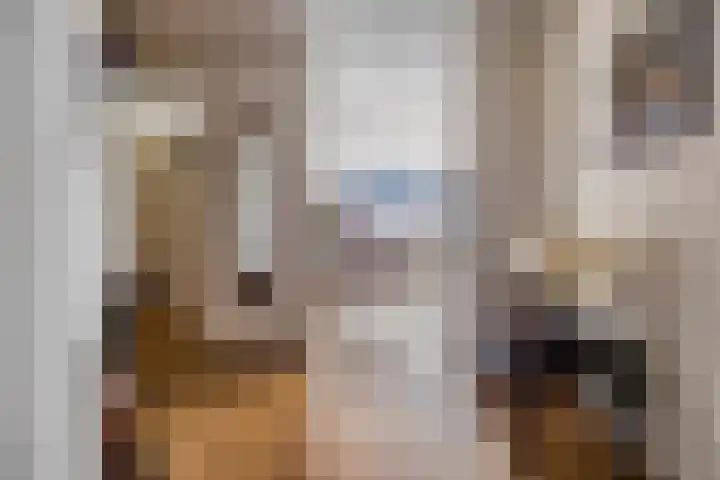 De Aanleg 204 Geesteren thumbnail 7