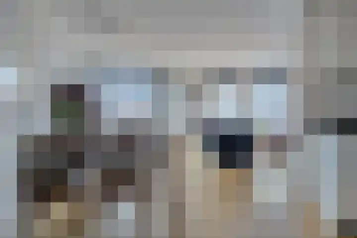 De Aanleg 204 Geesteren thumbnail 8