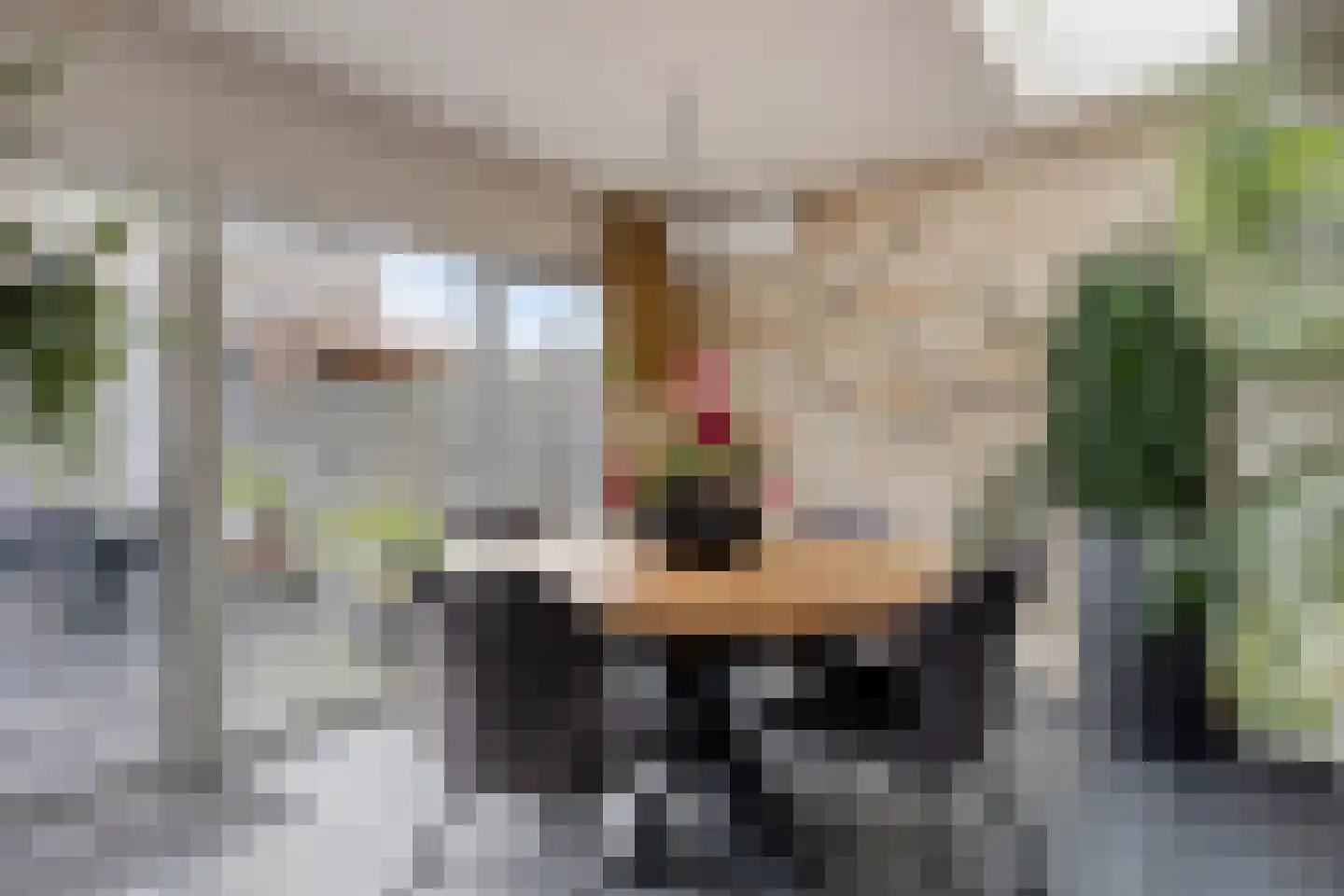 De Aanloop 36 Boxtel thumbnail 11
