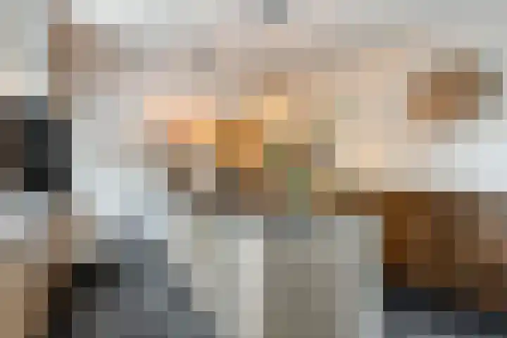 De Aanstee 1 Diessen thumbnail 13