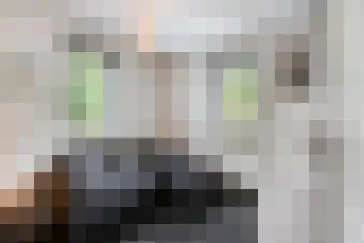 De Aanstee 1 Diessen thumbnail 18