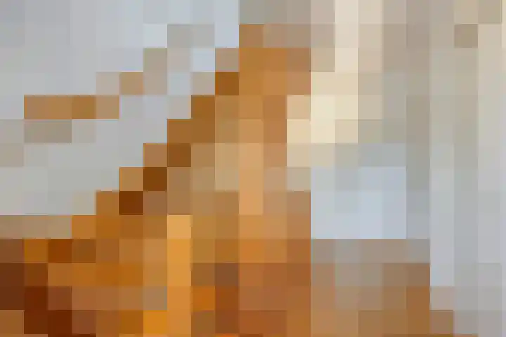 De Aanstee 1 Diessen thumbnail 24