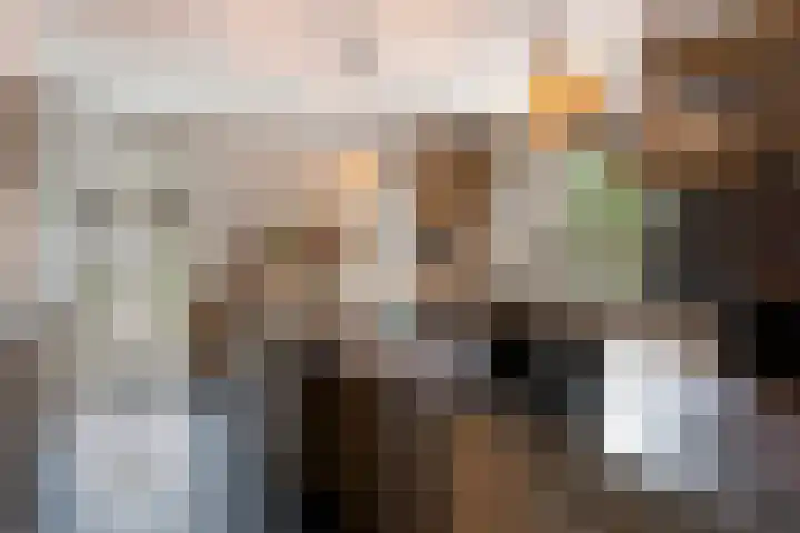 De Aanstee 1 Diessen foto 3