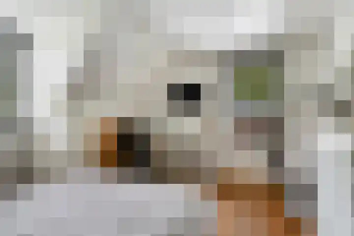 De Aanstee 1 Diessen thumbnail 33