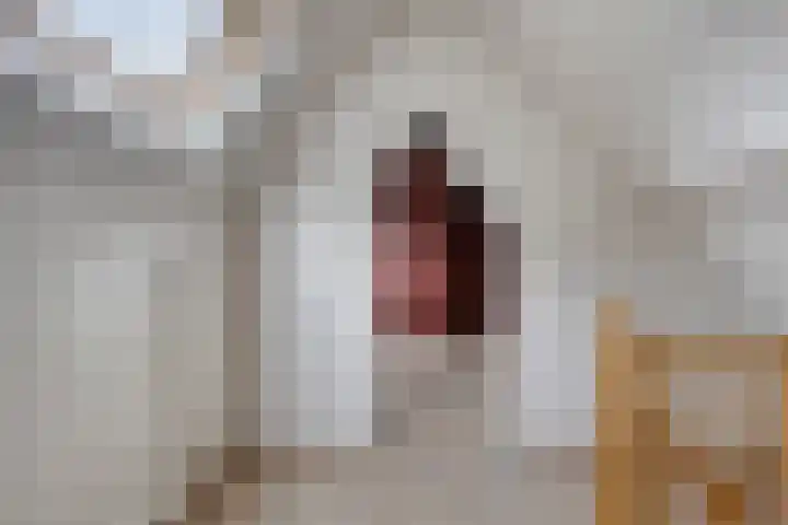 De Aanstee 1 Diessen thumbnail 35