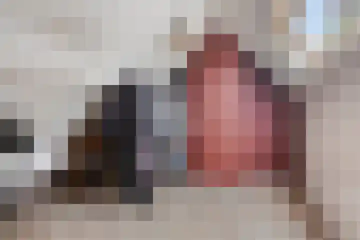 De Aanstee 1 Diessen thumbnail 38