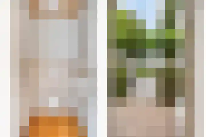 De Aanstee 1 Diessen thumbnail 42