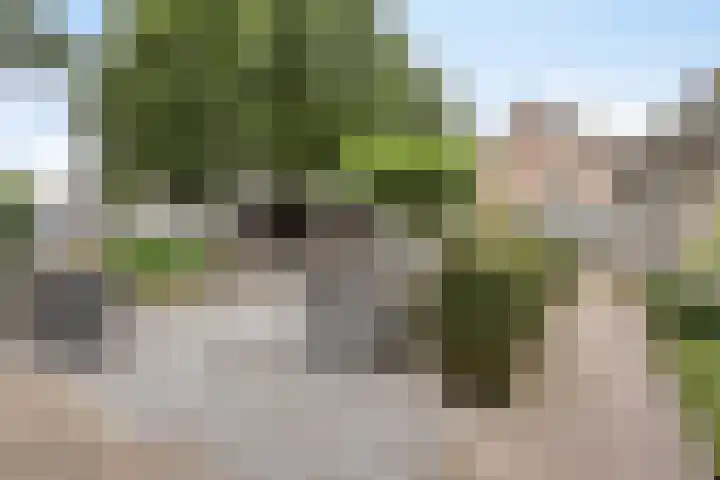 De Aanstee 1 Diessen thumbnail 46