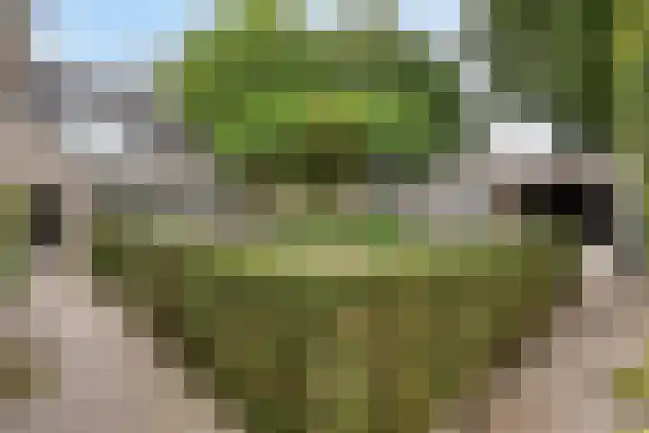 De Aanstee 1 Diessen thumbnail 47