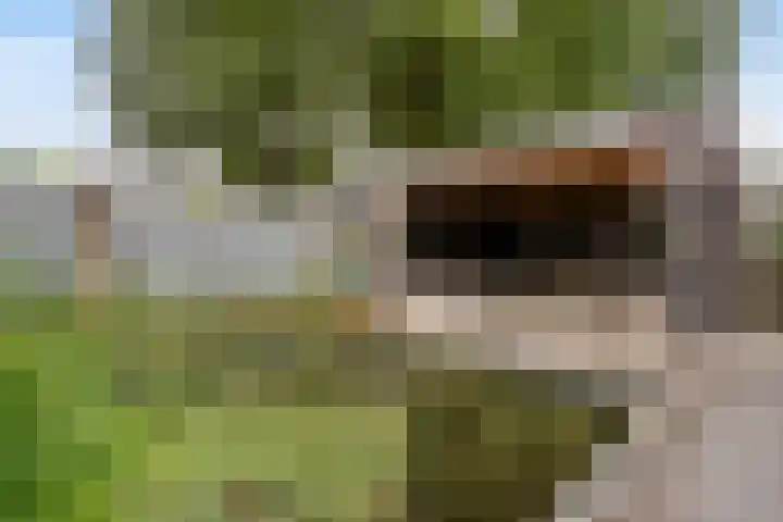 De Aanstee 1 Diessen thumbnail 49