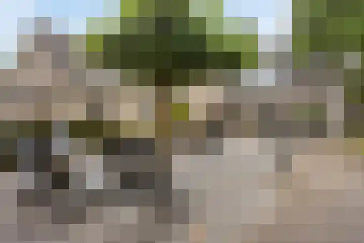 De Aanstee 1 Diessen thumbnail 50