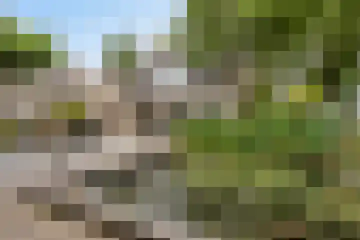 De Aanstee 1 Diessen thumbnail 51