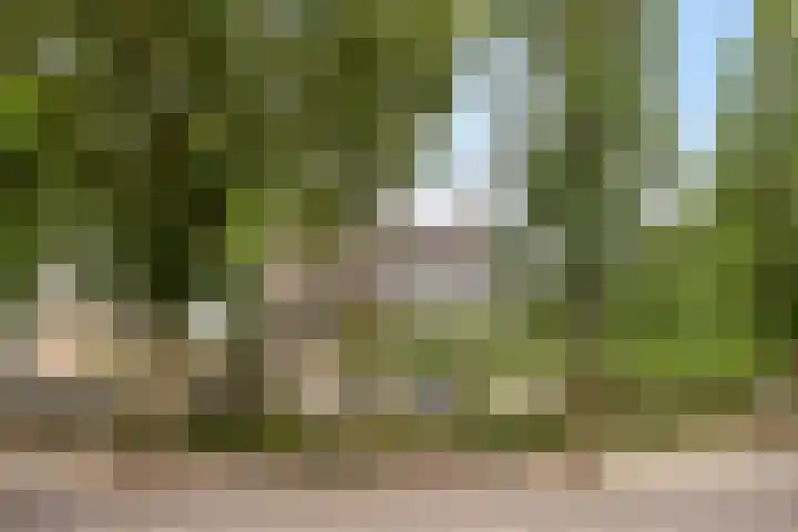 De Aanstee 1 Diessen thumbnail 52
