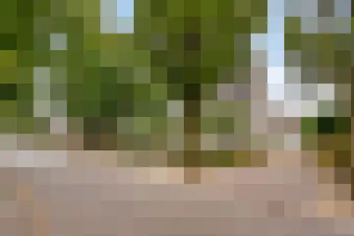 De Aanstee 1 Diessen thumbnail 53